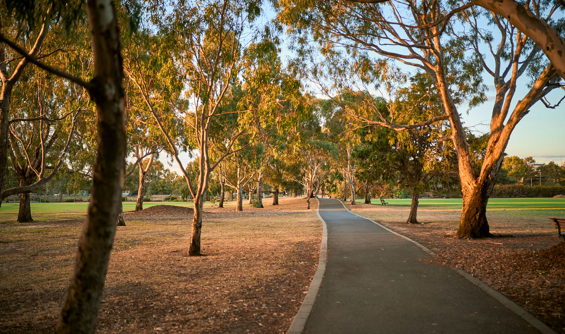 Elsternwick Park 